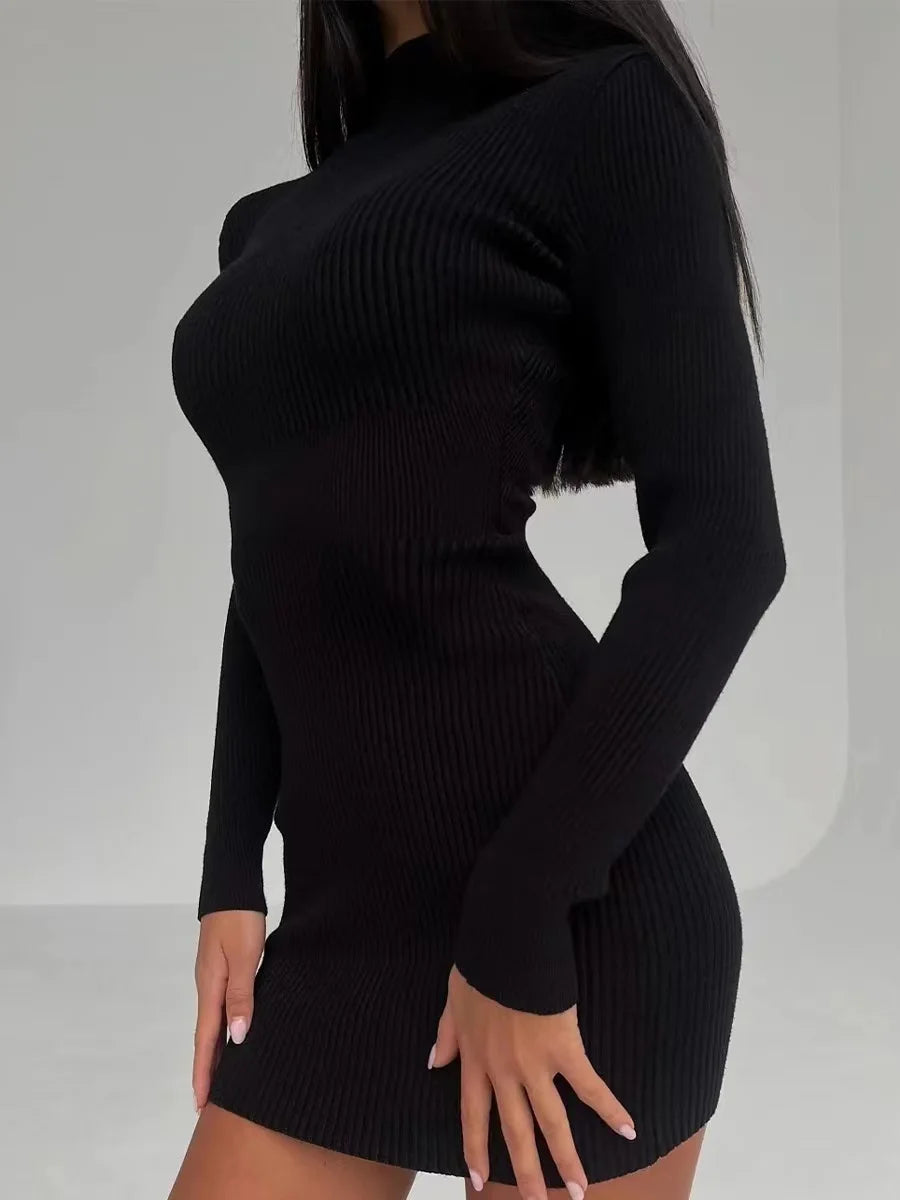 Elegant Ribbed Turtleneck Dress - sleek & Comfortable for Any Occasion.